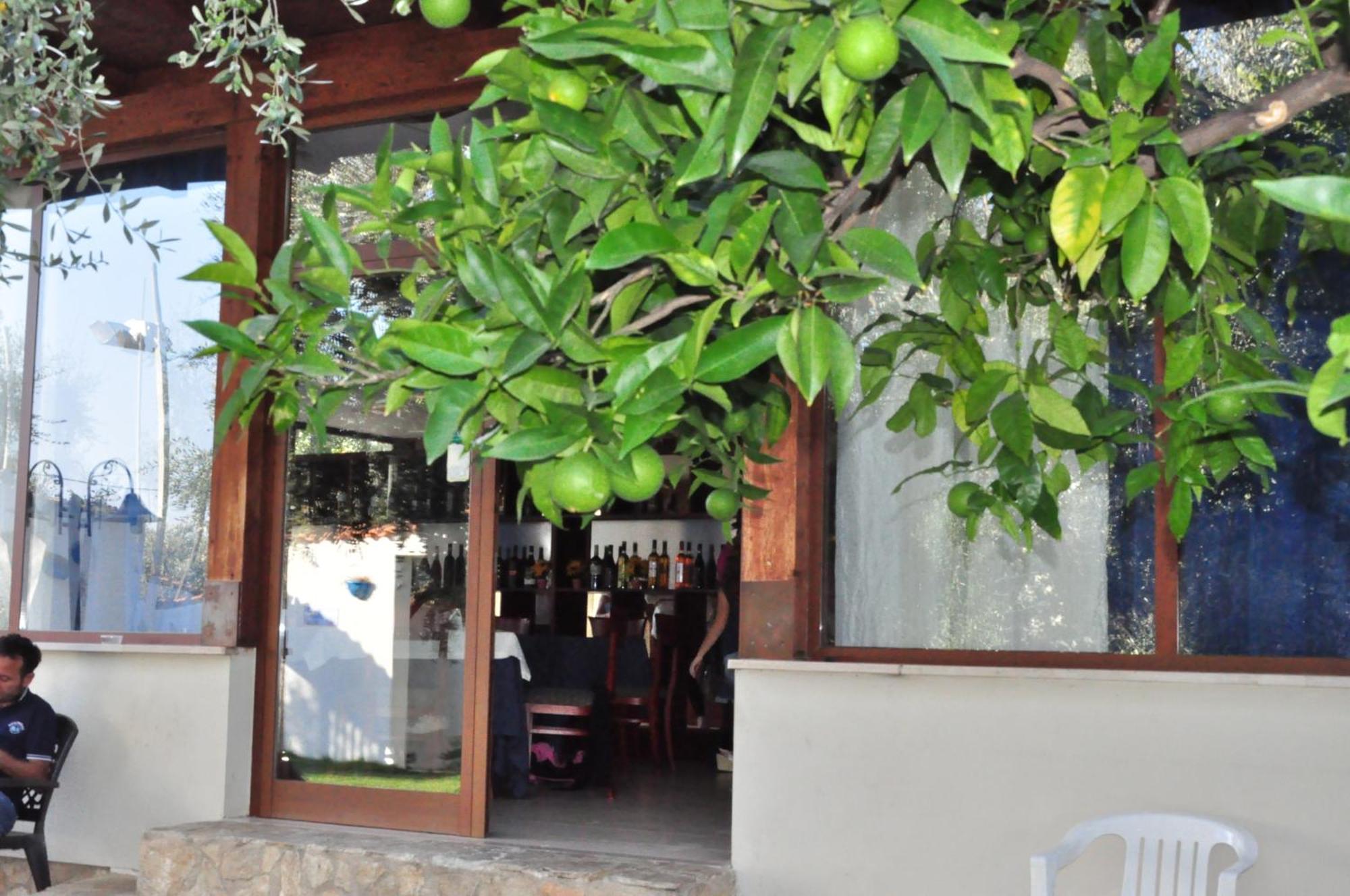 Hotel Il Melograno Mattinata Exteriér fotografie
